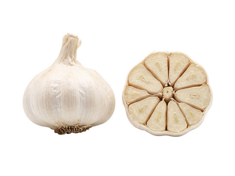 Whole garlic bulb and cross section revealing individual cloves and central core on transparent background, aromatic cooking ingredient and pantry staple for savory recipes