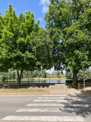 Fototapeta premium Trees, crosswalk, street, park, river view and railing frame a calm urban scene along a sunlit riverside walkway, offering shade and space for strolling.