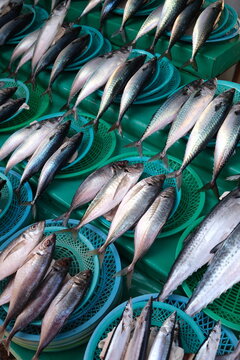 all my mackerel in a row