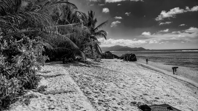 Fine art black and white view of La Digue paradise beach.