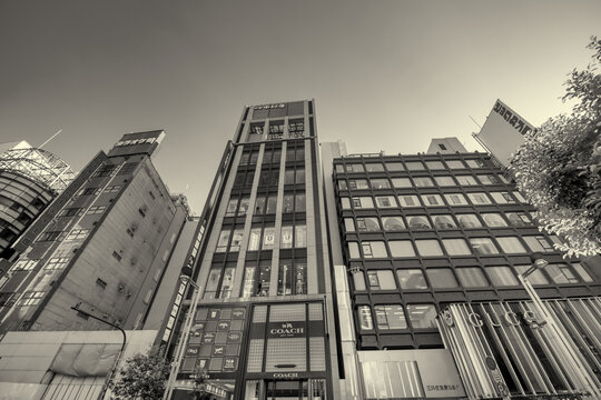 Street-level view of Shinjuku, Tokyo during spring, capturing sunlit roads, contemporary architecture, and lively city atmosphere