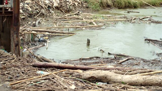Plastic waste accumulating in mangrove forests and rivers, highlighting marine pollution, overflowing waste. Environmental conservation, plastic reduction, recycling and sustainable future concept.
