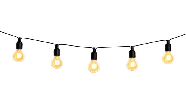 PNG Hanging vintage bulbs on string