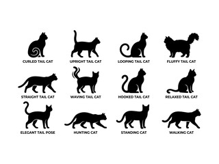 Fototapeta premium Black cat silhouettes displaying various tail poses and actions for pet related designs.