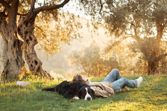Woman relaxes on green grass beside a Bernese Mountain Dog during a sunny autumn day. Ancient olive tree and golden countryside light create a calm outdoor lifestyle setting.