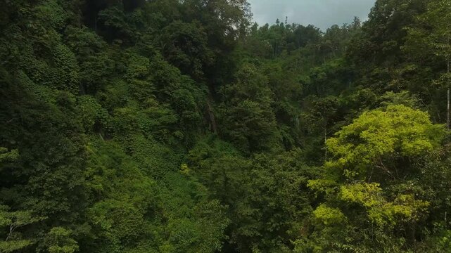 Cinematic aerial view of majestic Sekumpul Waterfall in North Bali Indonesia &ndash; Breathtaking drone shot of twin water cascades, misty tropical jungle gorge and river stream in daylight 4k UHD asset