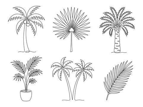 Minimalist palm tree line art set, continuous one line drawing of tropical plants, isolated vector