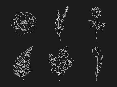 White ink floral sketches on black background, minimalist botanical line art set for branding