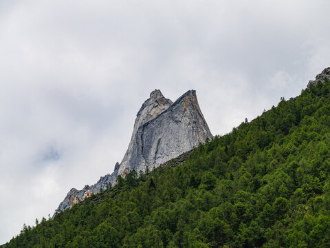 Mount Siguniang is located in Xiaojin County, Sichuan Province, China, and is a renowned tourist attraction. This photograph captures the snow-capped mountains, forests, and grasslands.
