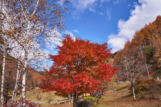 長野県茅野市　国道152号からの景色