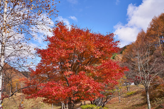 長野県茅野市　国道152号からの景色