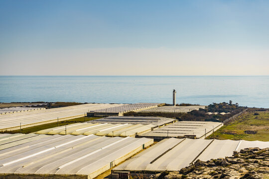 Plastic greenhouses on coast, Spain