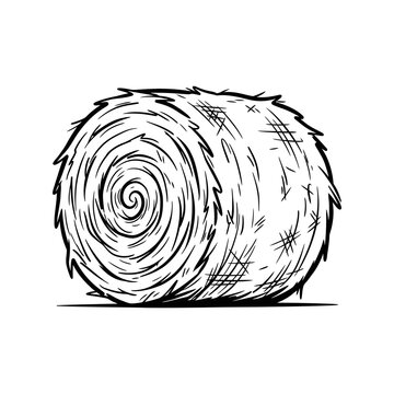 Hand drawn sketch of a round hay bale on a farm Vector