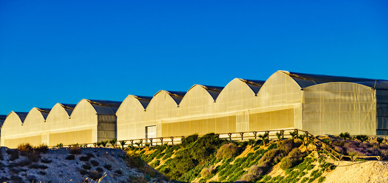 Industrial greenhouse complex for farming and commercial agriculture in Spain