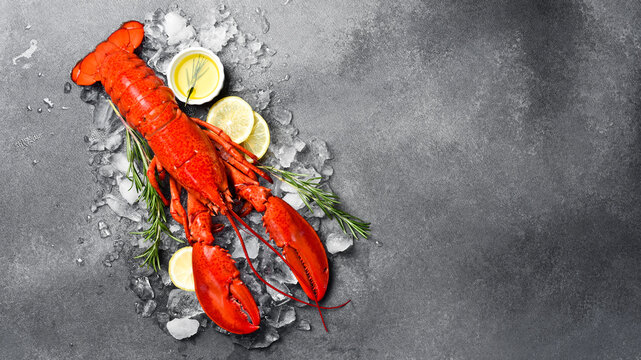 Delicious boiled lobster with ice cubes and lemon. On a stone background. Top view, free space for text. Fresh seafood.