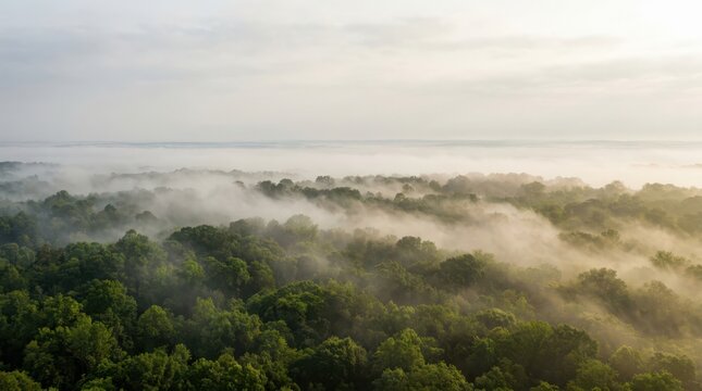 Coastal dune landscape with sea oats and fog rolling in along the shoreline