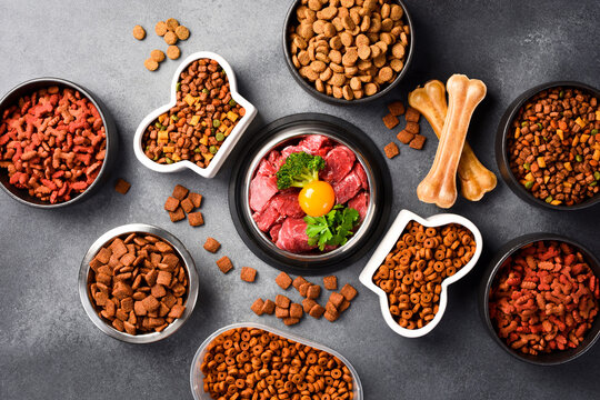 A large selection of food for dogs and cats. Top view. A type of nutritious food.