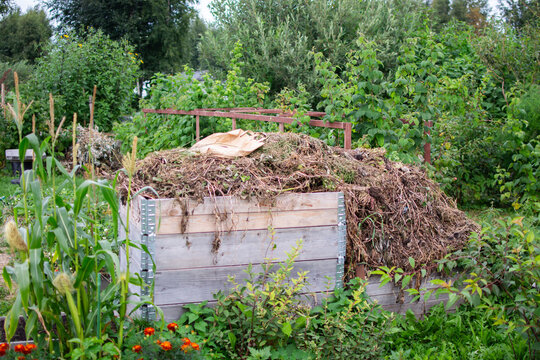 Compost pile of grass clippings, weeds and plant residues stored in a wooden box on a garden plot