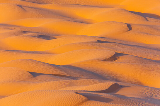 View of the golden sand dunes of the Sahara Desert with soft light and intricate wind-blown textures in Douz, Kebili Governorate, Tunisia.