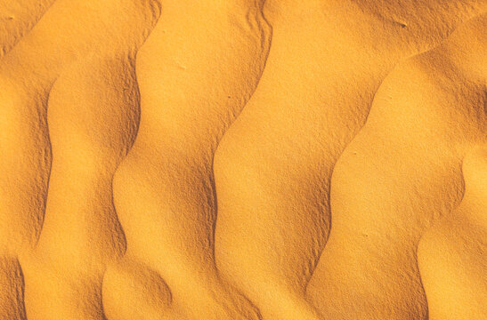 View of the undulating sand dunes of the Sahara Desert with fine golden sand textures under bright sunlight in Douz, Kebili Governorate, Tunisia.