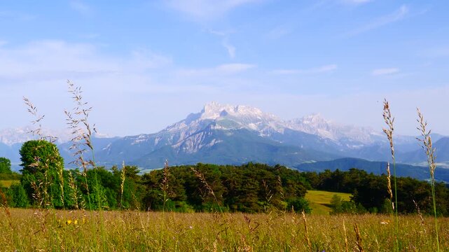Summer Meadow And Mountains On Horizon. L'obiou In Alps, France.
