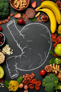The best foods for healthy stomach and digestion. Assortment of natural products to boost stomach health and digestion drawing. on a gray textured background. Healthy diet for stomach.