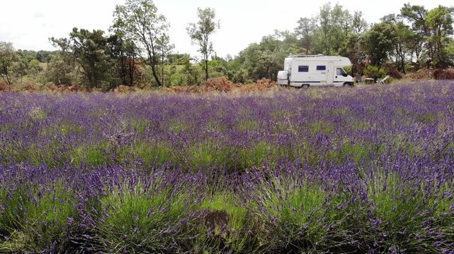 Caravan camping on nature at lavender field. Provence in France. Travel with mobile home. Drone shot

