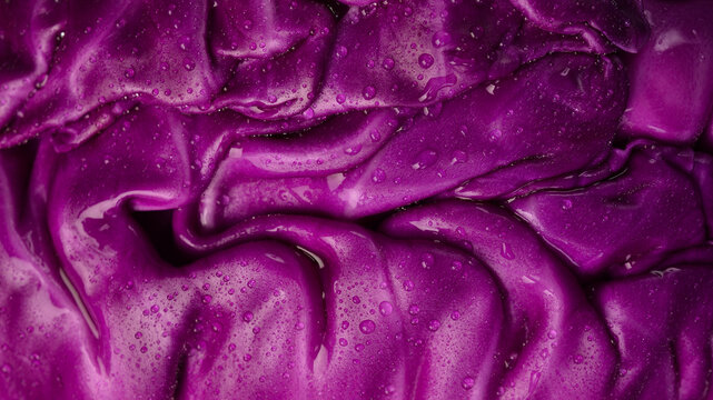 Purple cabbage texture background. Macro image of water drops on purple surface. Macro photo.