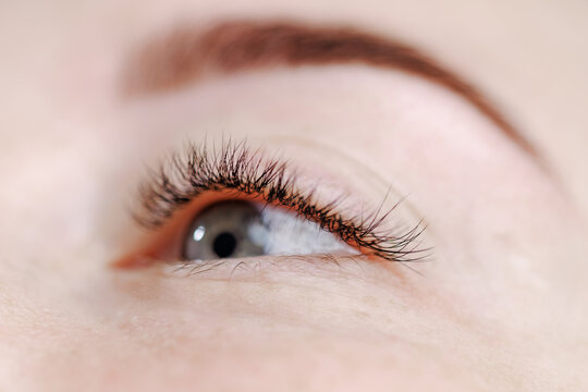 Eye with long eyelash looking upward on facial closeup after Eyelash extension procedure