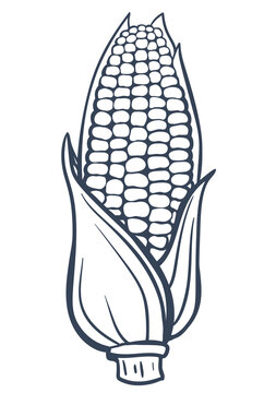 Corn Cob Hand Drawn Doodle