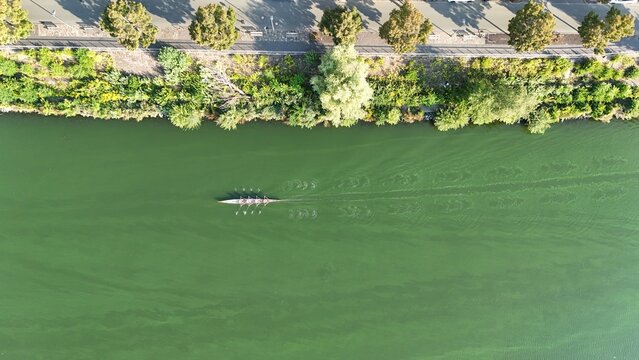 Aerial view of a rowing boat gliding across the green waters of the Main river, flanked by lush trees along the riverbank in Frankfurt am Main, Hessen, Germany.