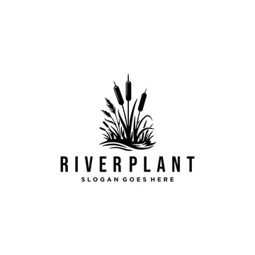 Black and White Minimalist Bulrush River Plant Logo Design.