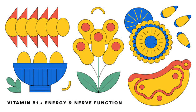 Very beautiful colorful vector of whole grains, beans, sunflower seeds and pork representing vitamin B1, VITAMIN B1 &bull; ENERGY & NERVE FUNCTION, white background, no gradients.