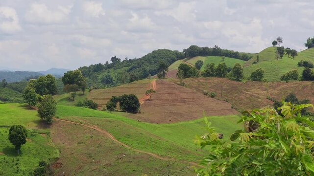 Bald Mountain with Hillside Agriculture