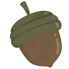 Acorn / Nuts of Autumn / Falls Season with transparent background. png  © Nanadoro_Studio 