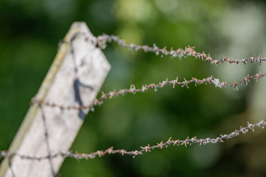 Grenze mit Stacheldraht