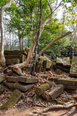 Obraz premium ruines du temple de Beng Mealea dans le complexe d'Angkor à Siem Reap au Cambodge