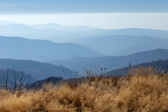 View of the Stara planina mountain range with golden dry grass in the foreground and layers of blue ridges fading into the hazy horizon, Babin zub, Pirot District, Serbia.