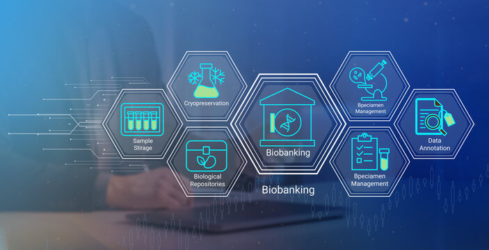 Modern biobanking process illustration showing sample storage cryopreservation biological repositories specimen management and data annotation