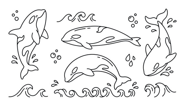 Orca Killer Whale Marine Life Vector Set Featuring Jumping and Swimming Orcas with Ocean Waves and Sea Bubbles for Aquatic Graphic Designs.