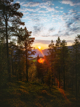 Sunset coniferous forest and mountains landscape in Norway wild nature calm peaceful scenic view travel in Rondane beautiful destinations in Scandinavia