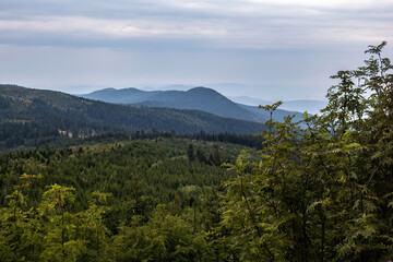 Mountain Landscape between Kleiner Arber and Enzian with View over the Bavarian Forest and Upper Palatinate, Germany © Annabell Gsödl