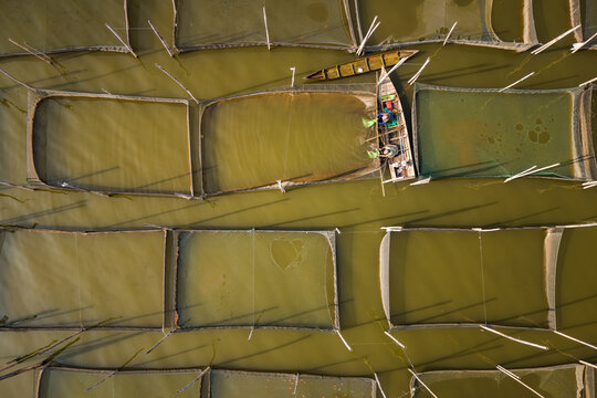 Aerial view of Lake Rawa Pening featuring traditional fish farming nets and a small wooden boat with fishermen working on the water in Waduk Rawapening, Central Java, Indonesia.