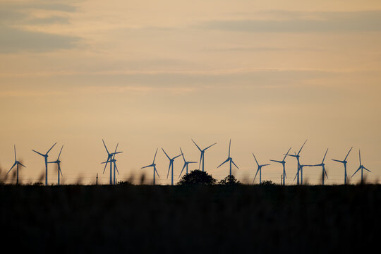 Windr&auml;der im Morgenlicht