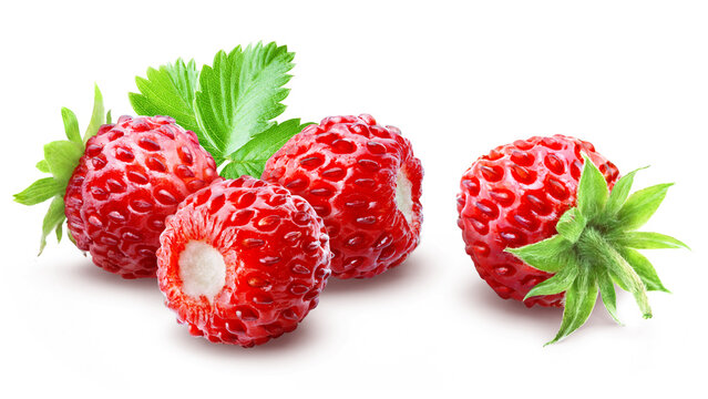 Three wild strawberries clustered together and one berry placed separately with green leafy tops isolated on transparent background.