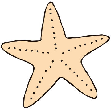 Hand Drawn Yellow Starfish Ocean Life Clipart