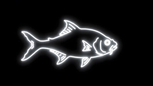 White Neon Line Art Hatchetfish with Gently Fluttering Pectoral Fins on Black Background