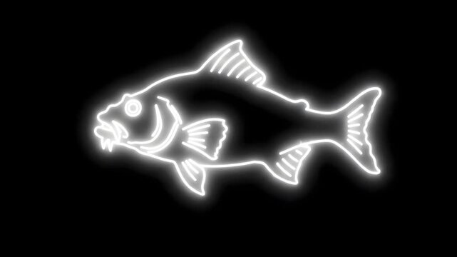 White Neon Line Art Fangtooth Fish with Gently Fluttering Pectoral Fins on Black Background