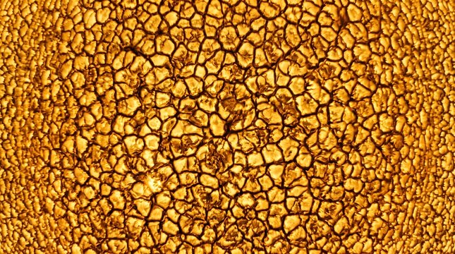 Solar surface granulation texture, extreme close up of sun photosphere, glowing orange plasma cells background