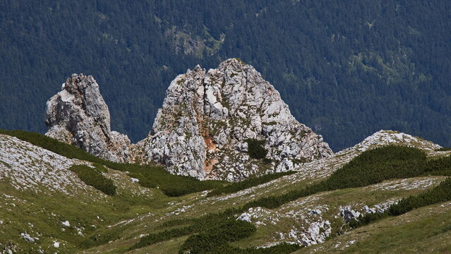 Camel shaped rock formation on the Schneeberg in Lower Austria,Austria,Europe
